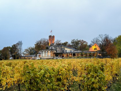 Photo: Burg Schwarzenstein